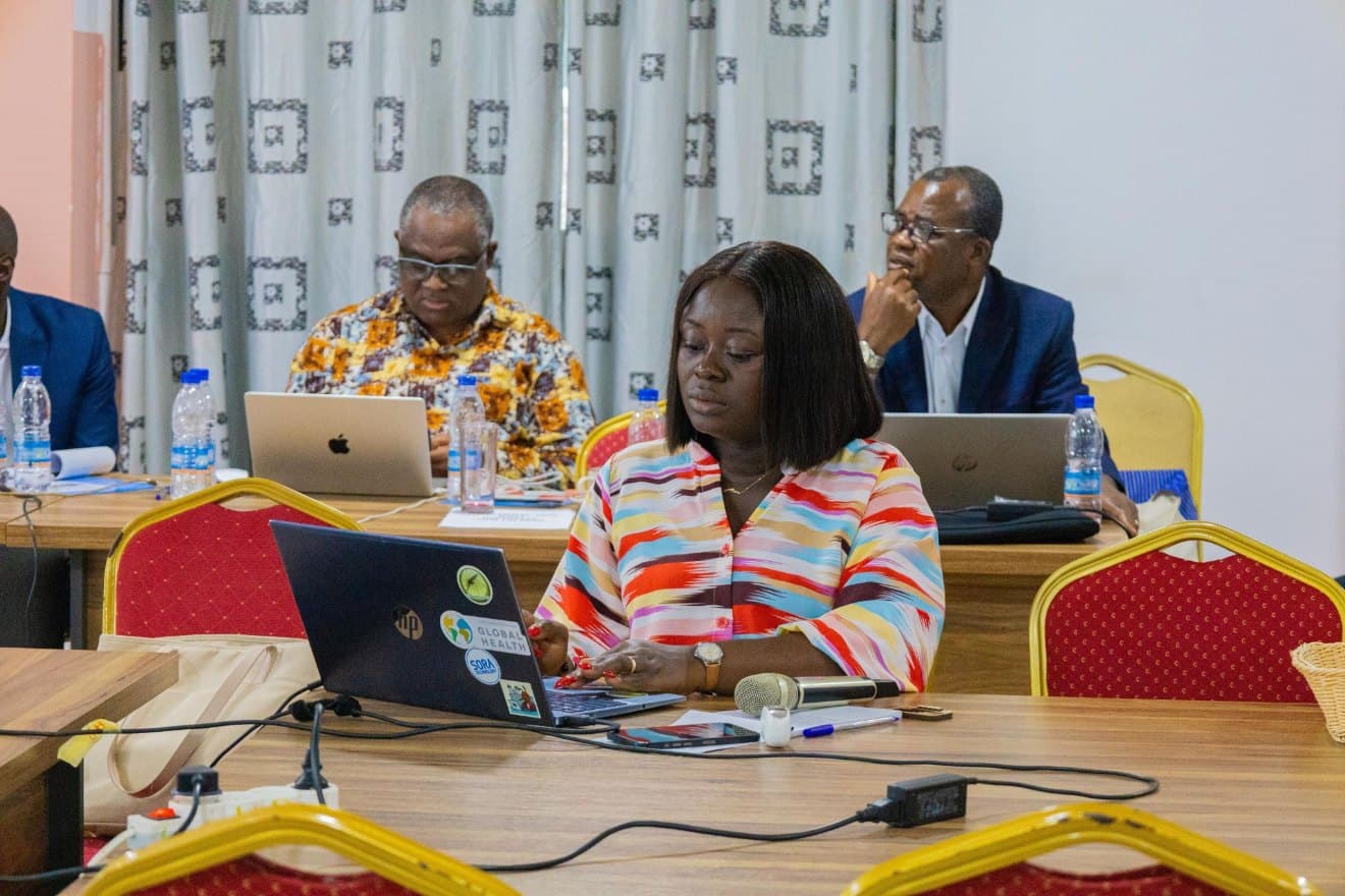 Rosine Z. Wolie working on her laptop during the workshop